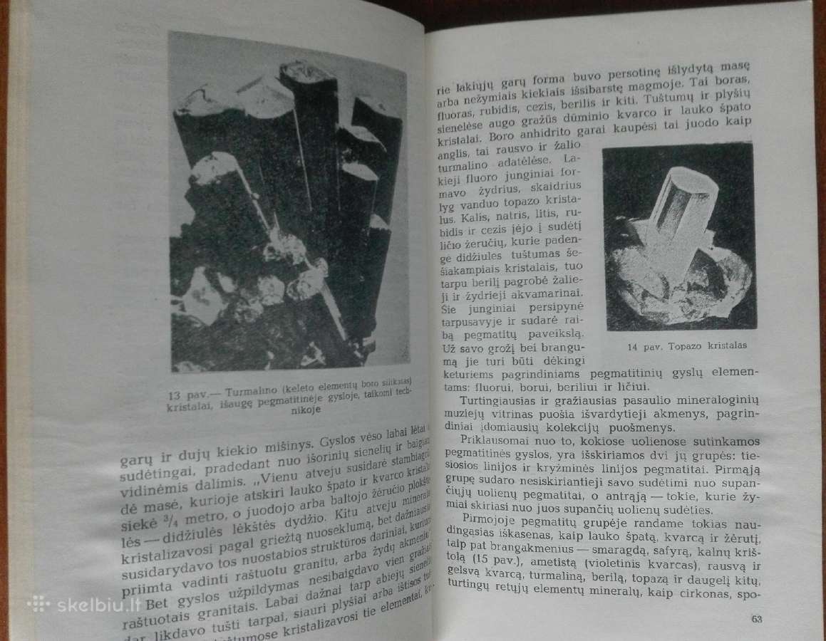 2076. Kaip Susidaro Naudingosios Iškasenos V. Vasi - nuotraukos Nr. 6