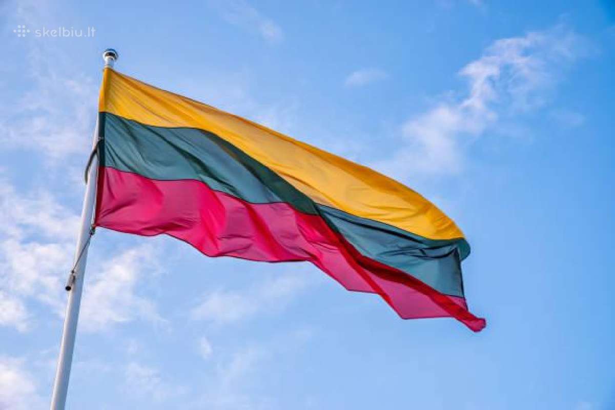 Lietuvos įmonių duomenų bazė 2026 metų