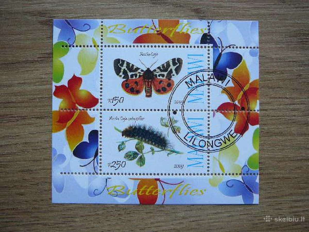 Drugeliai 2009 antsp. g052