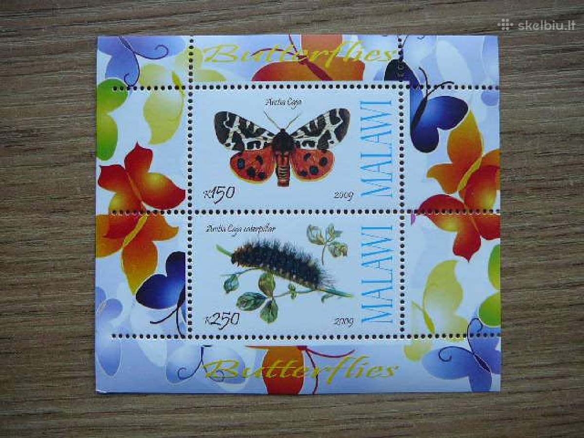 Drugeliai 2009 svarus g052a