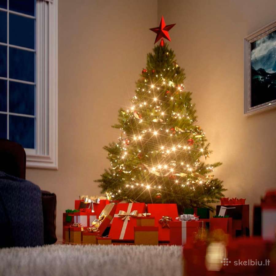 Sandelio Valymas 13vnt. - nuotraukos Nr. 10