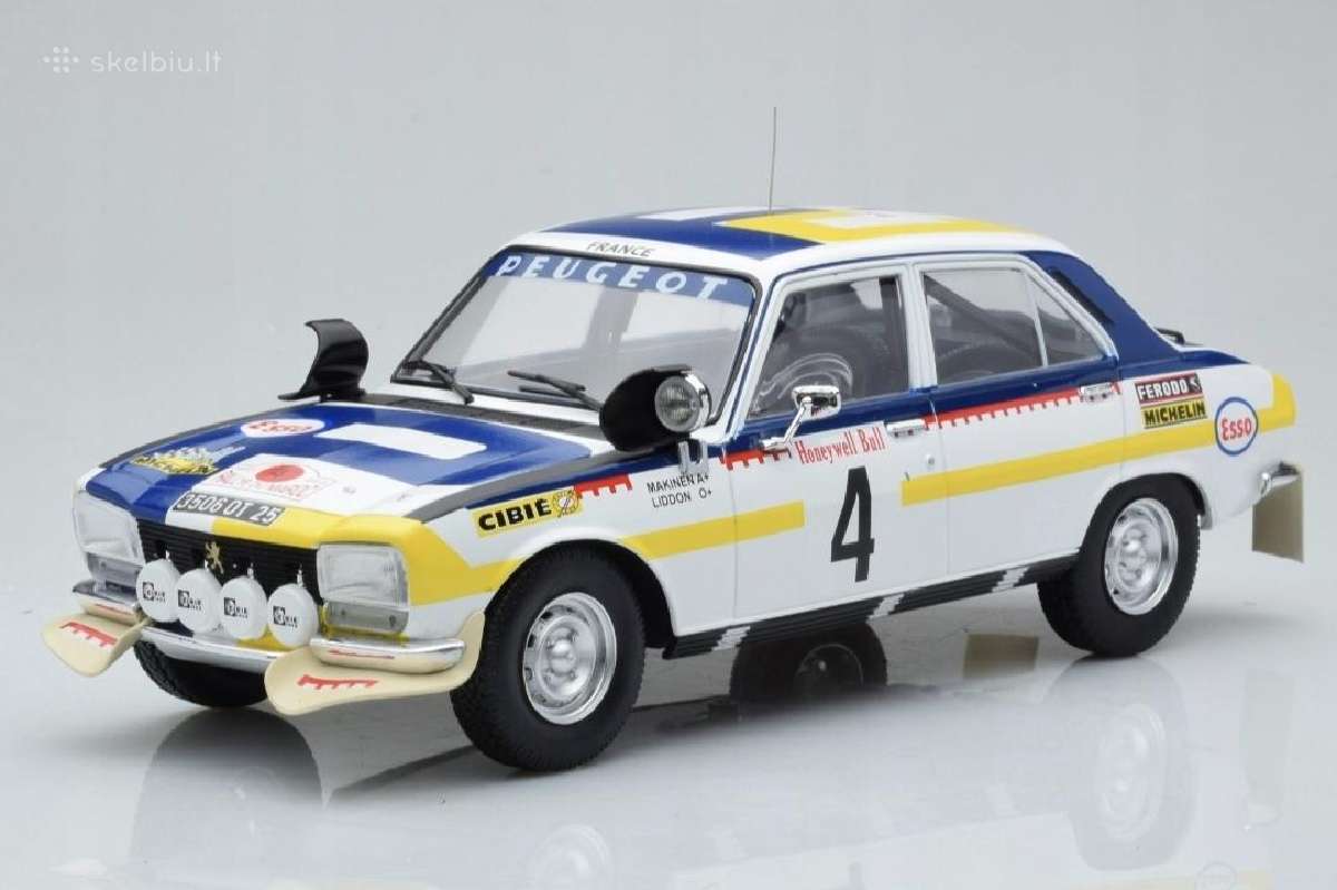 Rally modeliukai - nuotraukos Nr. 10