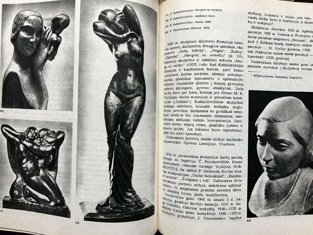 Xxa. Lietuvių dailės istorija, II tomas - nuotraukos Nr. 5