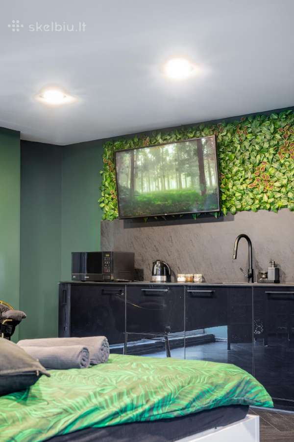 Apartamentai su Jacuzzi vonia Kauno centre - nuotraukos Nr. 22