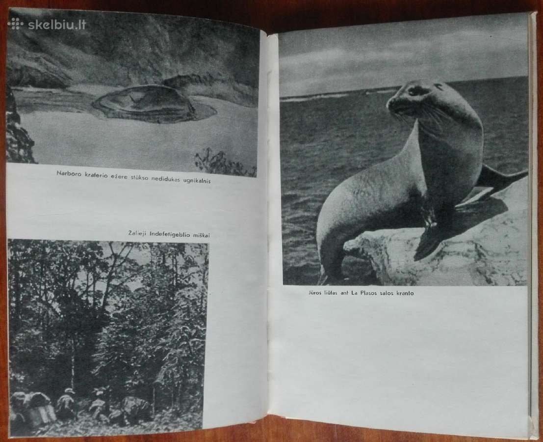 2090. Galapagų Salos - nuotraukos Nr. 3