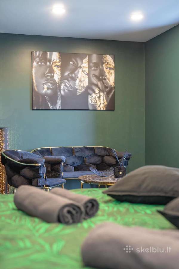 Apartamentai su Jacuzzi vonia Kauno centre - nuotraukos Nr. 25