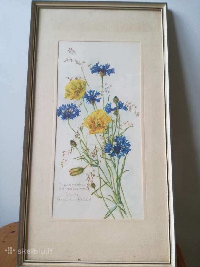 Botaniniai ir litografijos paveikslėliai - nuotraukos Nr. 10
