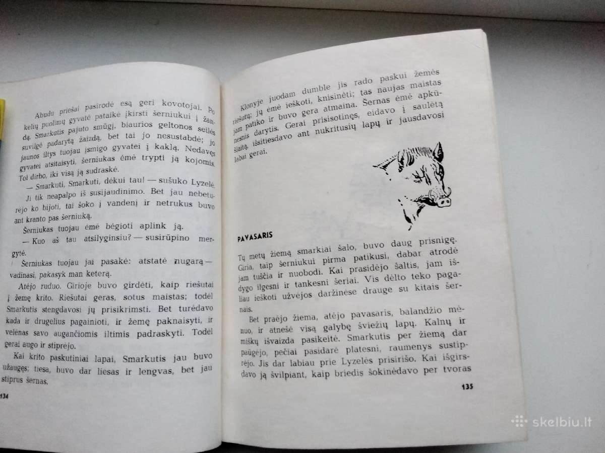 Vinipego vilkas. Gaidys Rėksnys - nuotraukos Nr. 6