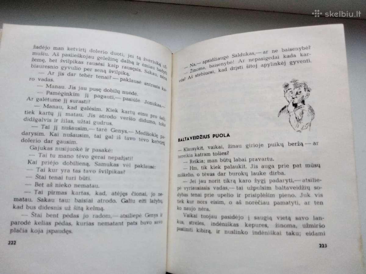 Vinipego vilkas. Gaidys Rėksnys - nuotraukos Nr. 7