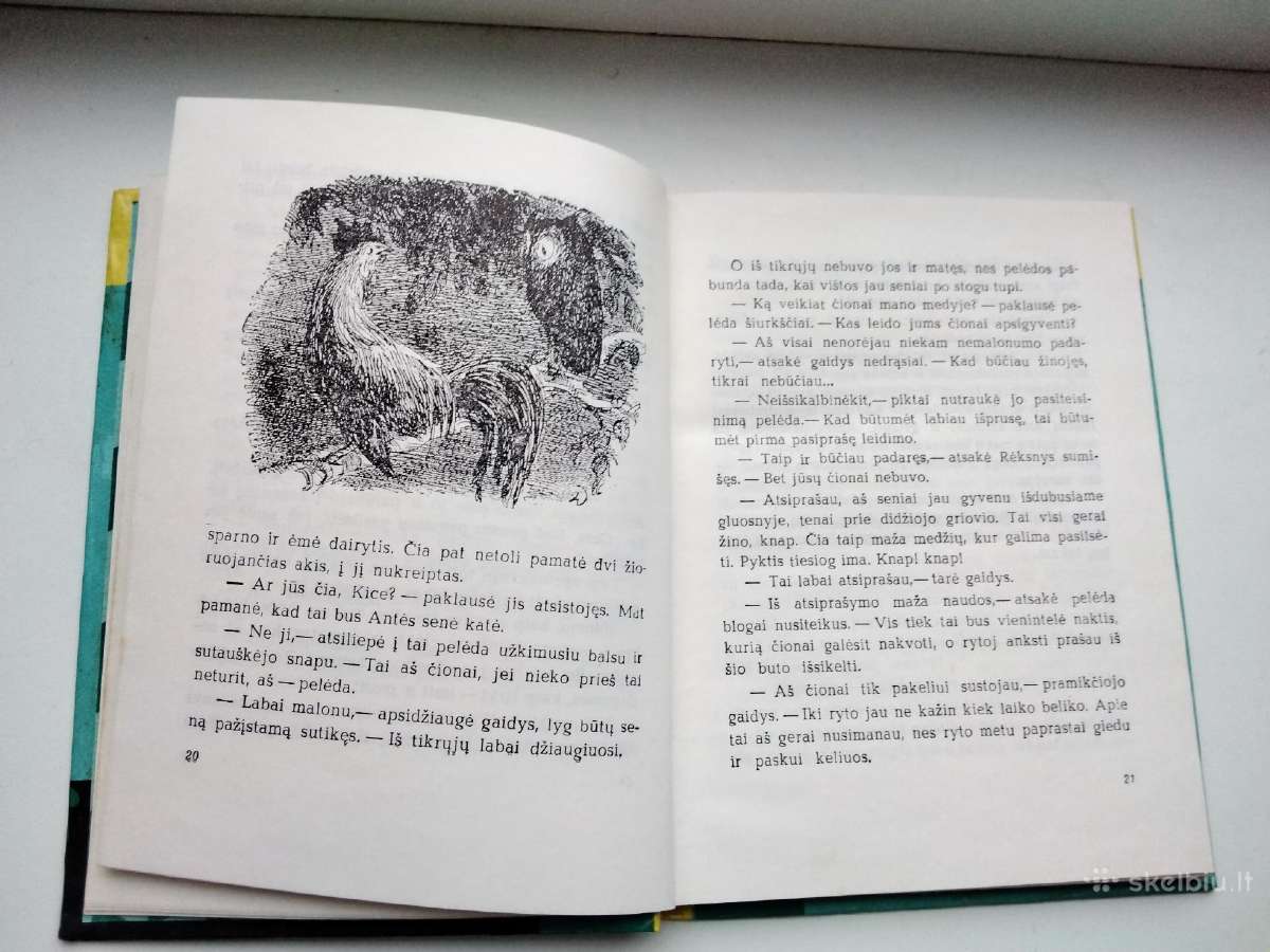 Vinipego vilkas. Gaidys Rėksnys - nuotraukos Nr. 12