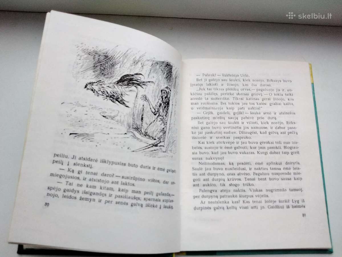 Vinipego vilkas. Gaidys Rėksnys - nuotraukos Nr. 13