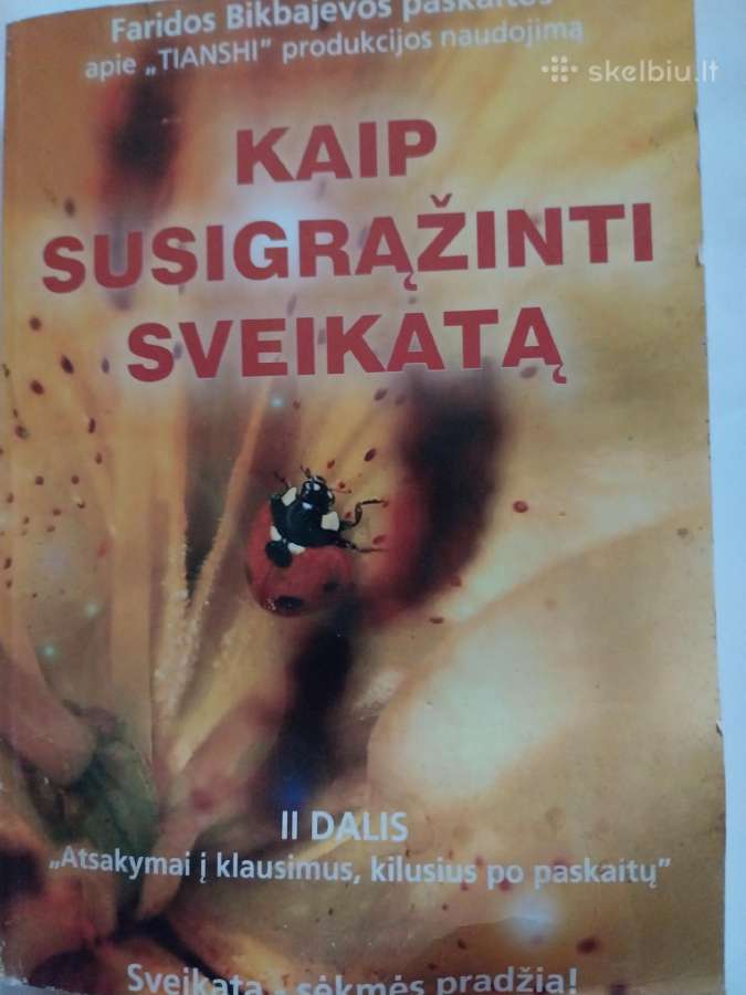 Knyga
