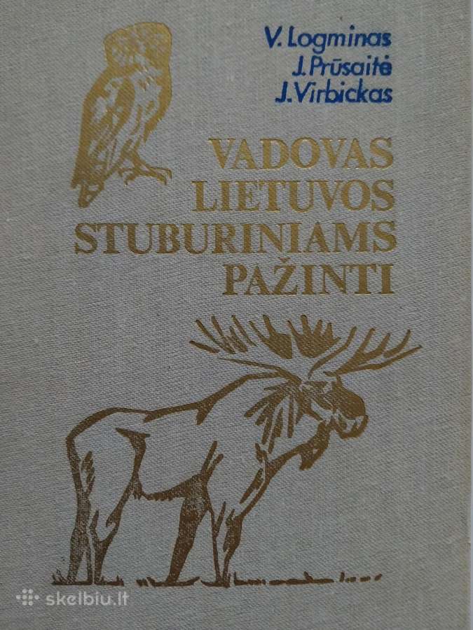 Knyga