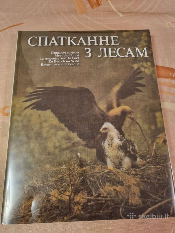 Pasimatymas su mišku