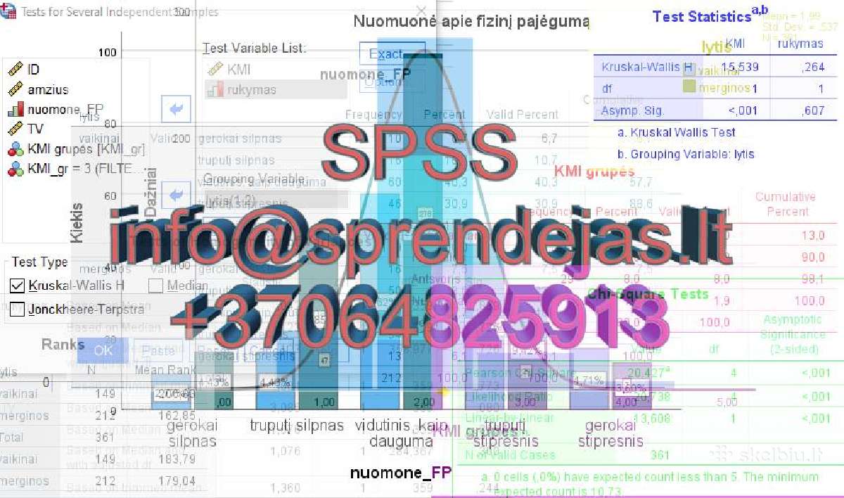 Spss, Gretl, R Studio, Fizika, Matematika, Chemija - nuotraukos Nr. 2