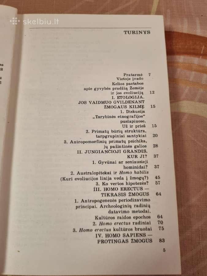 Kultūros ištakos - nuotraukos Nr. 3