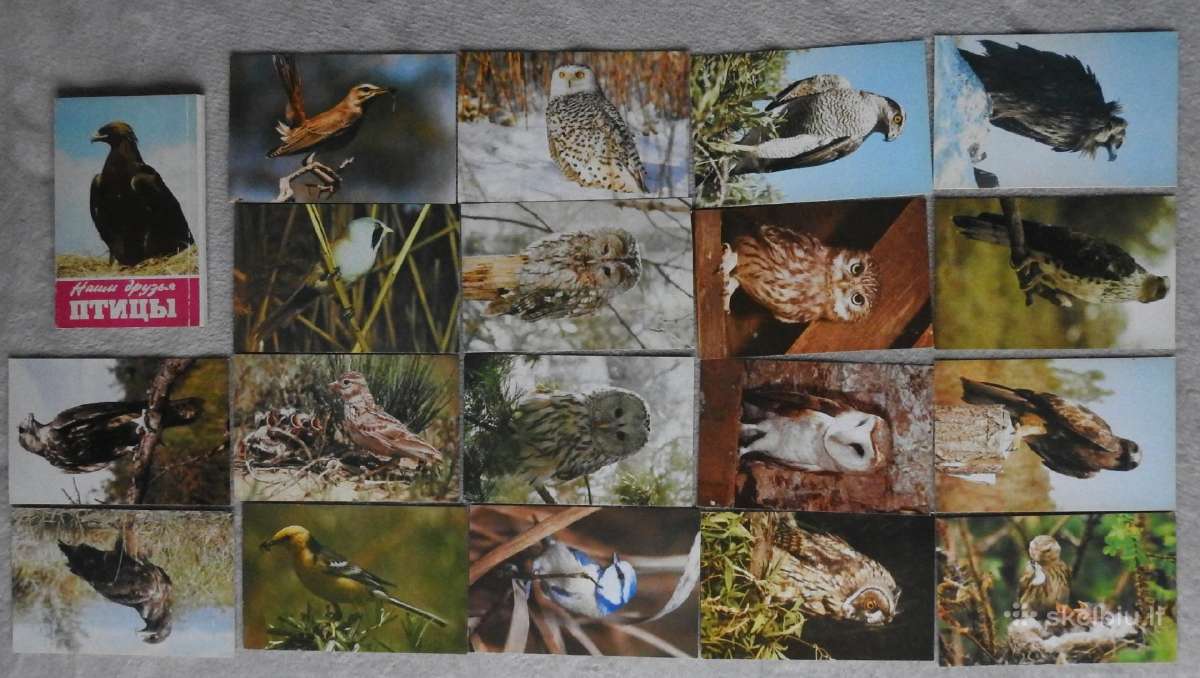 Atviručiu bei korteliu kolekcija virš 350 vnt - nuotraukos Nr. 13