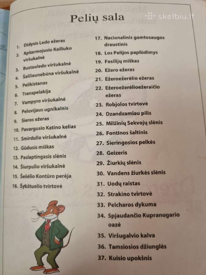 Sūrio spalvos automobilinis namelis - nuotraukos Nr. 4