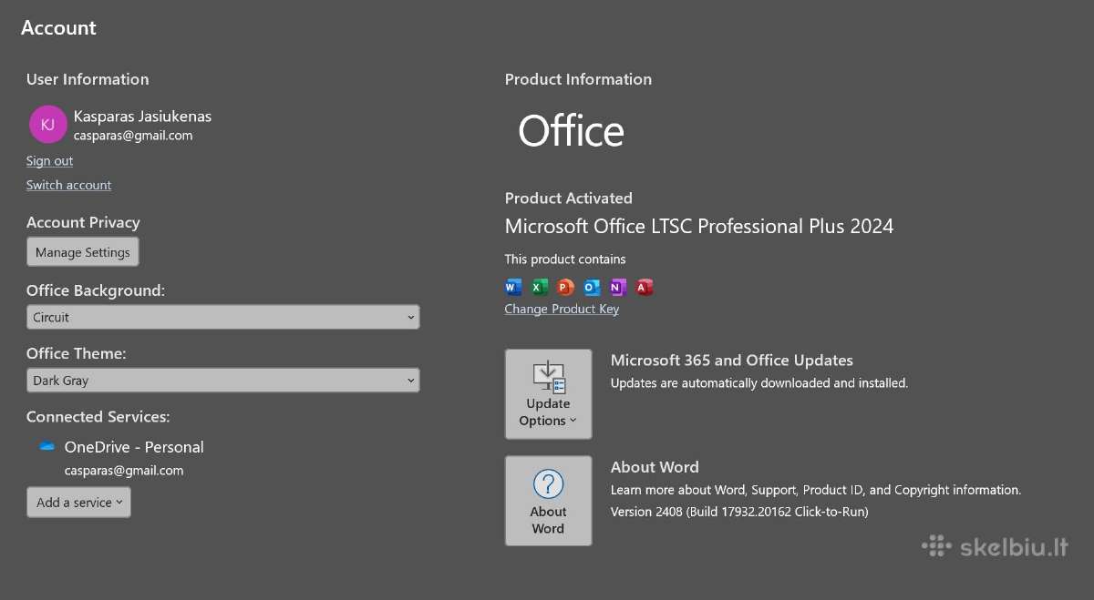 Originalūs Microsoft Office 2021/2024 Professional - nuotraukos Nr. 2