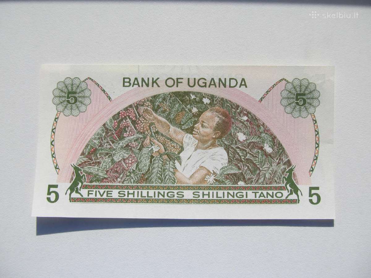 5 šilingai , Uganda , 1982 unc - nuotraukos Nr. 2