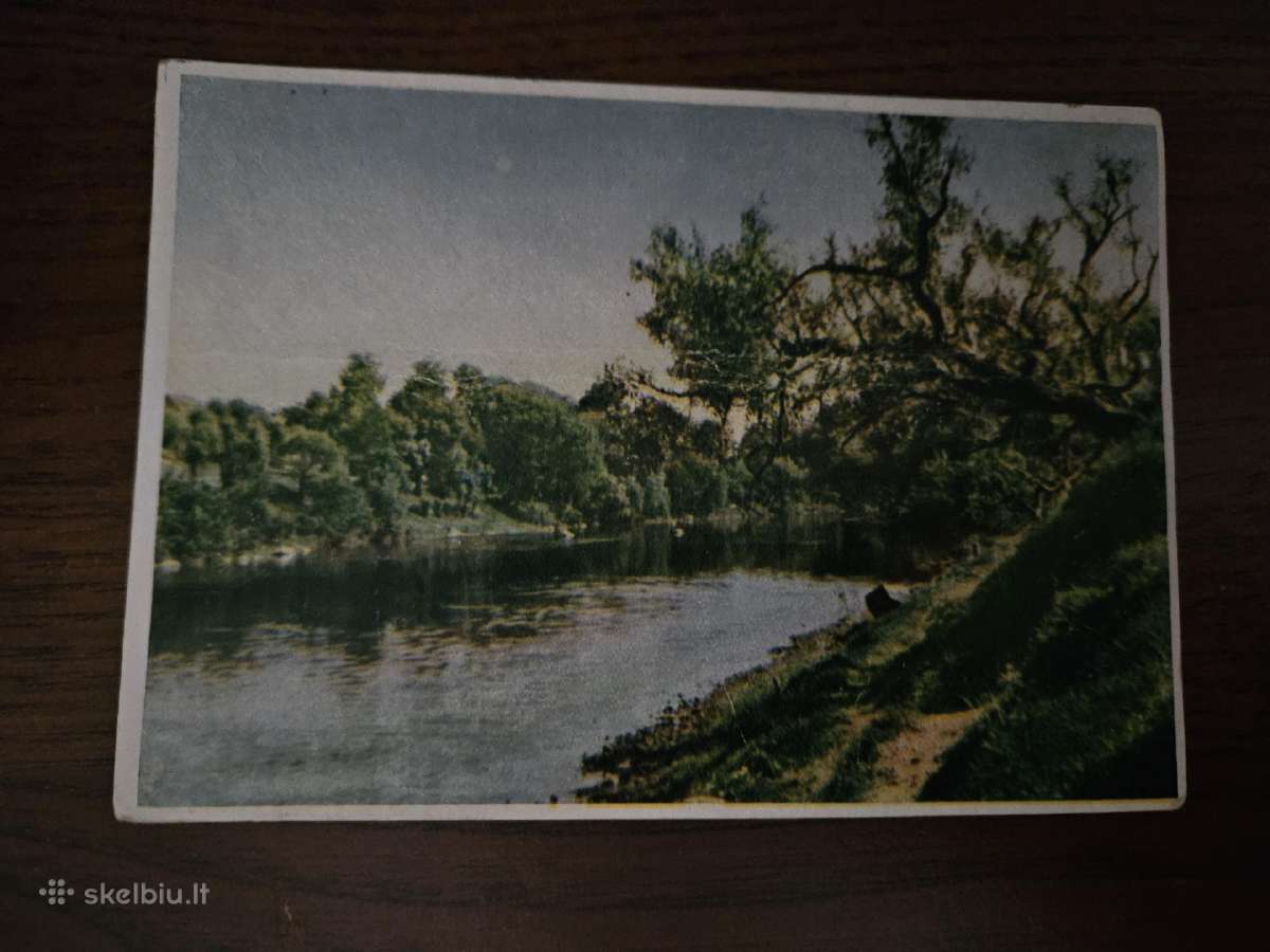 Šventoji, atvirutė 1955