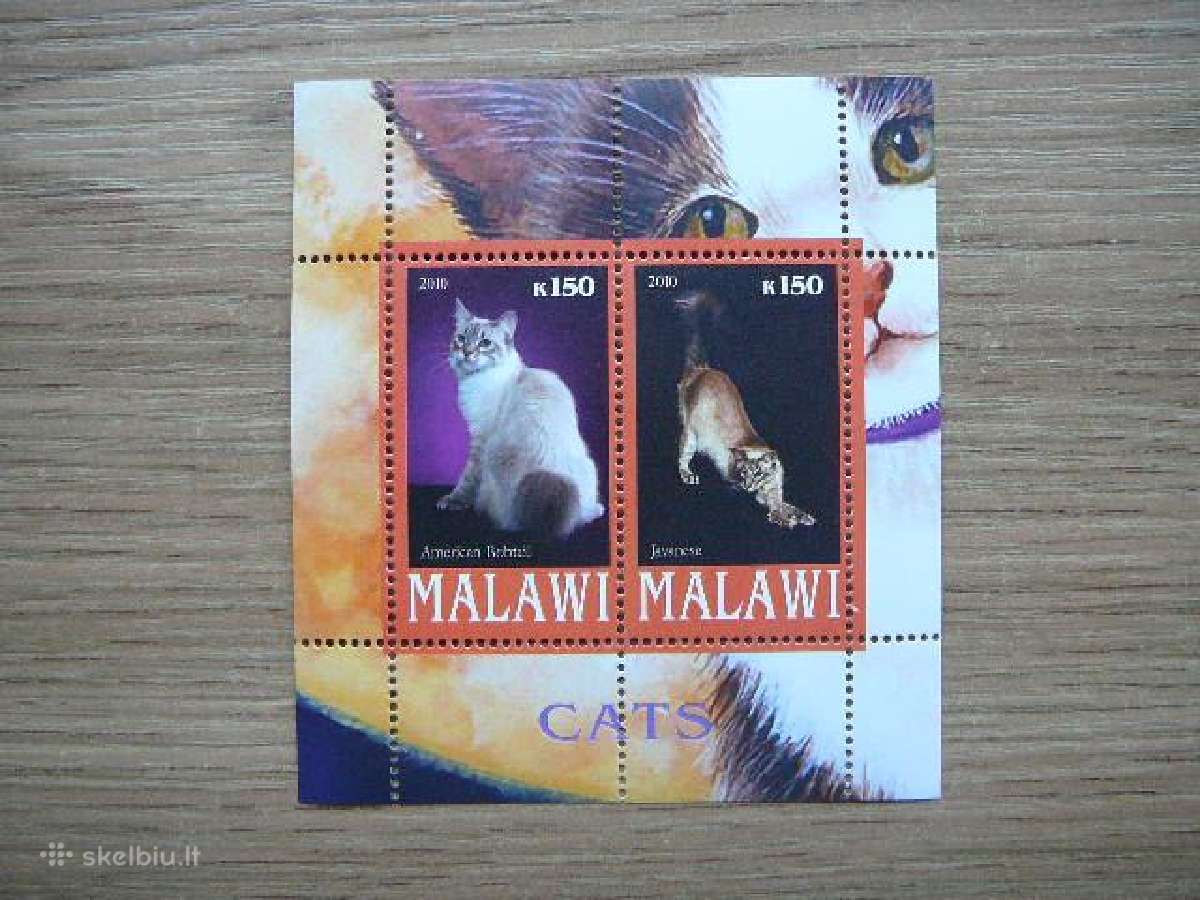 Kates Malavis 2010 svarus g136a