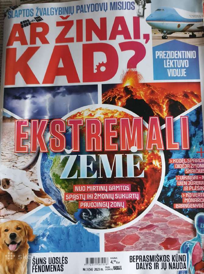 Žurnalas