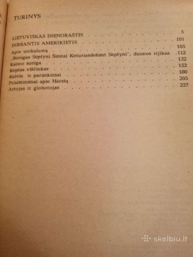Lietuviškas dienoraštis , dirbantis amerikietis - nuotraukos Nr. 3