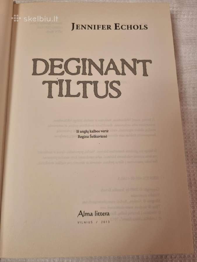 Deginant tiltus - nuotraukos Nr. 2