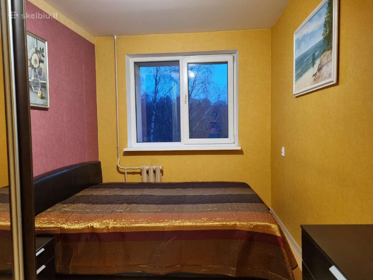 2-jų kambarių nuoma Vileišio g. - nuotraukos Nr. 9