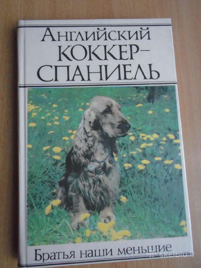 Anglų kokerspanielis. knyga