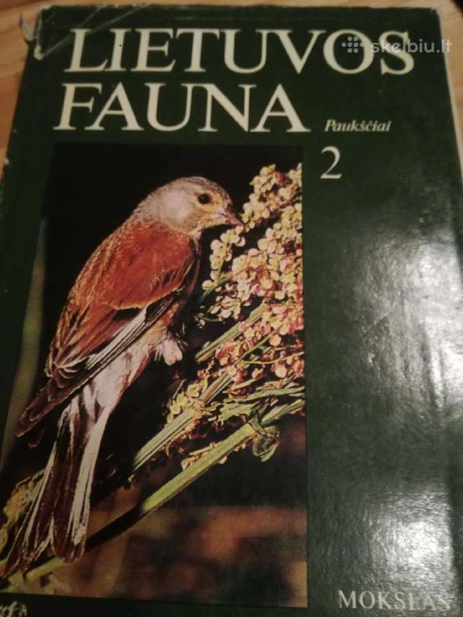 Tadas Ivanauskas ,g.isokas ,fauna ,draustiniai-kny - nuotraukos Nr. 3