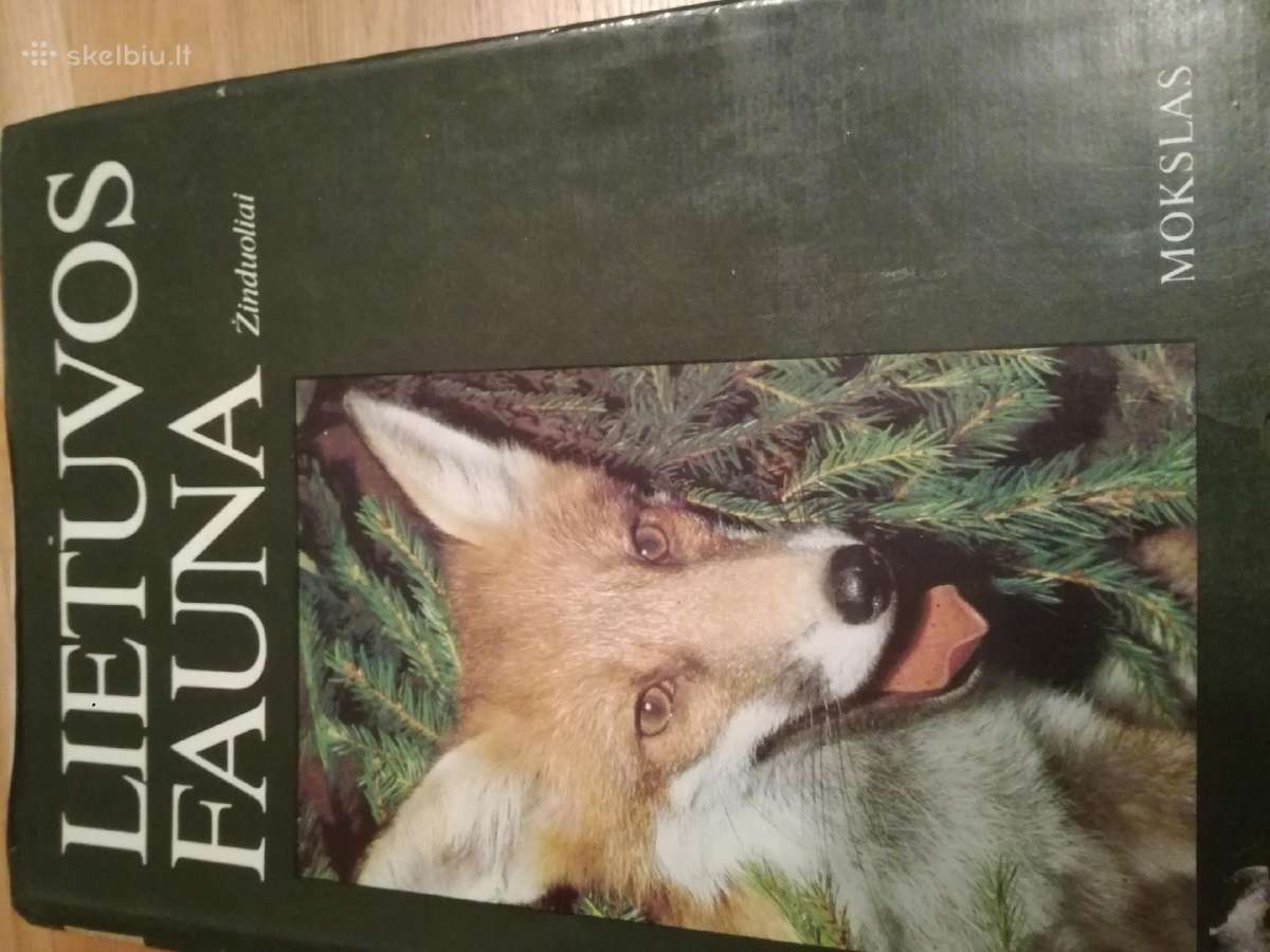 Tadas Ivanauskas ,g.isokas ,fauna ,draustiniai-kny - nuotraukos Nr. 6