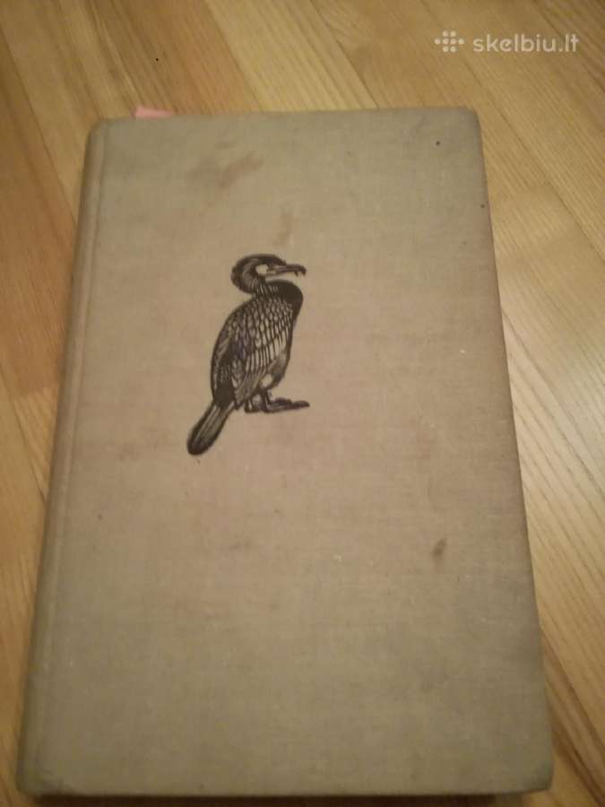 Tadas Ivanauskas ,g.isokas ,fauna ,draustiniai-kny - nuotraukos Nr. 19