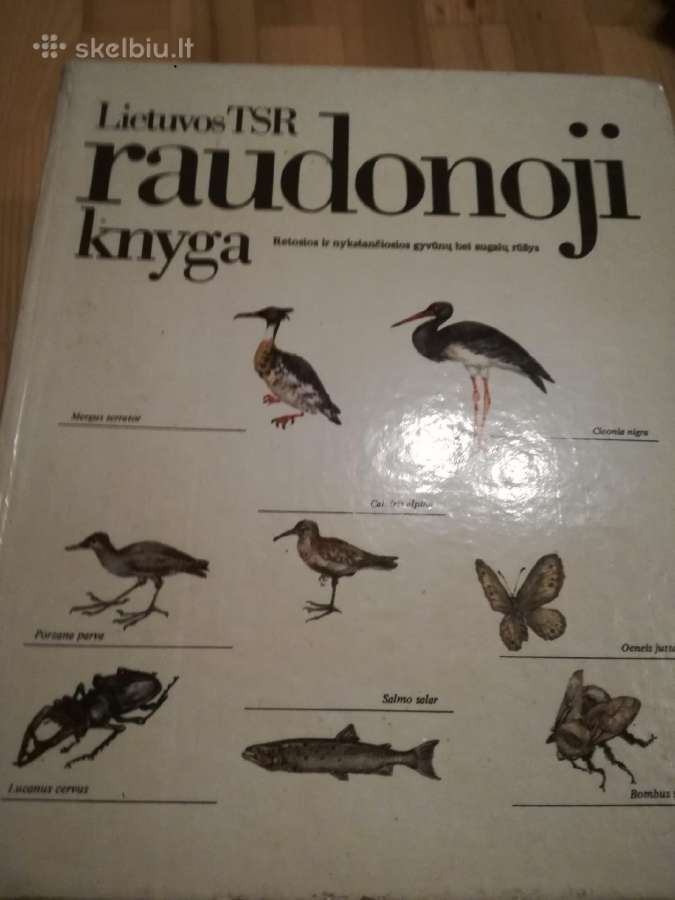 Tadas Ivanauskas ,g.isokas ,fauna ,draustiniai-kny - nuotraukos Nr. 27