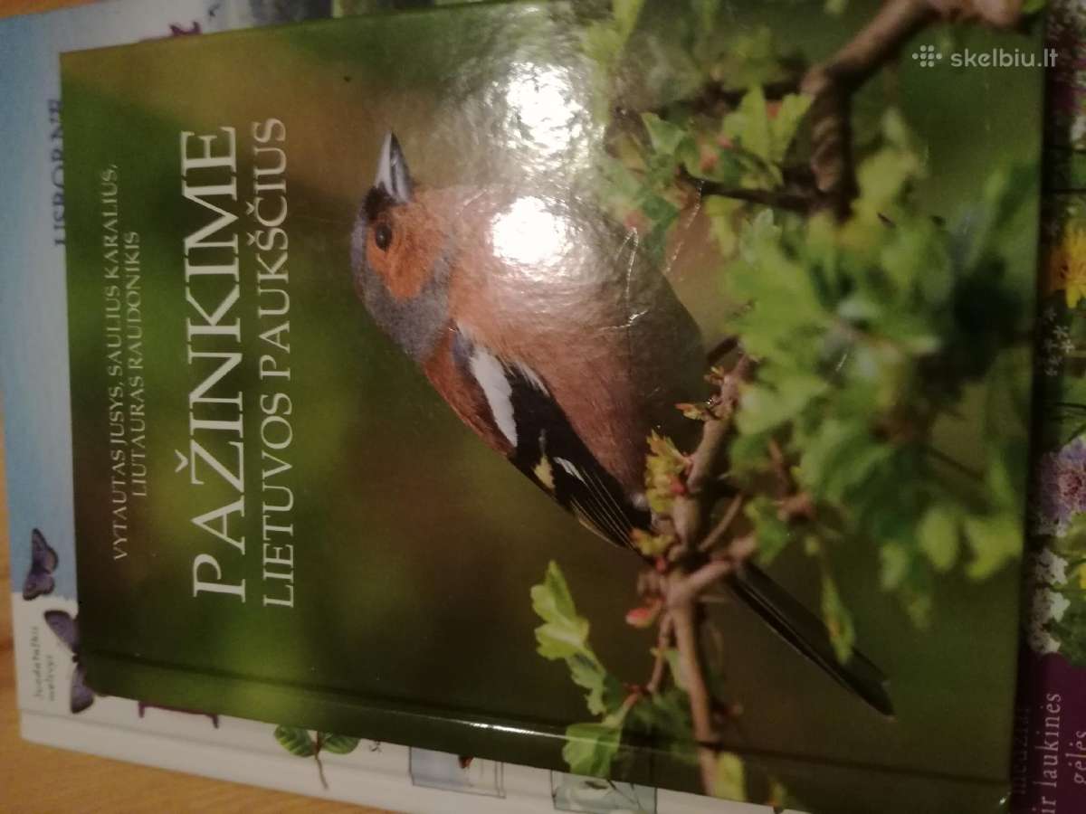 Tadas Ivanauskas ,g.isokas ,fauna ,draustiniai-kny - nuotraukos Nr. 30