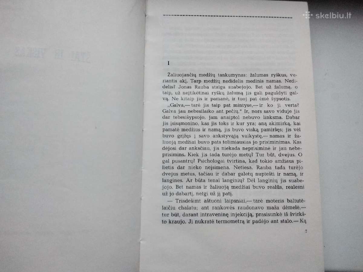 V. Sirijos Gira. Buenos Aires. Atlanto idilės - nuotraukos Nr. 13