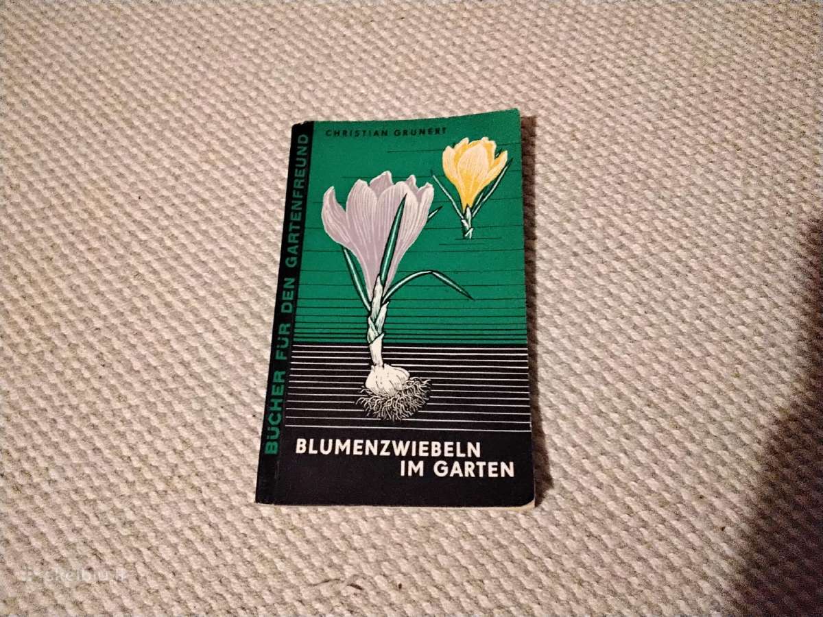 Blumenzwiebeln im Garten Christian Grunert