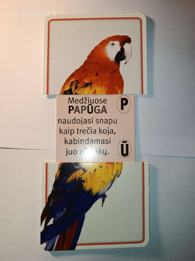 Skaičiai. Raidės ir gyvūnai (slankiosios kortelės) - nuotraukos Nr. 7