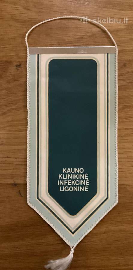Vimpilas Kauno klinikinė infekcinė ligonė - nuotraukos Nr. 2