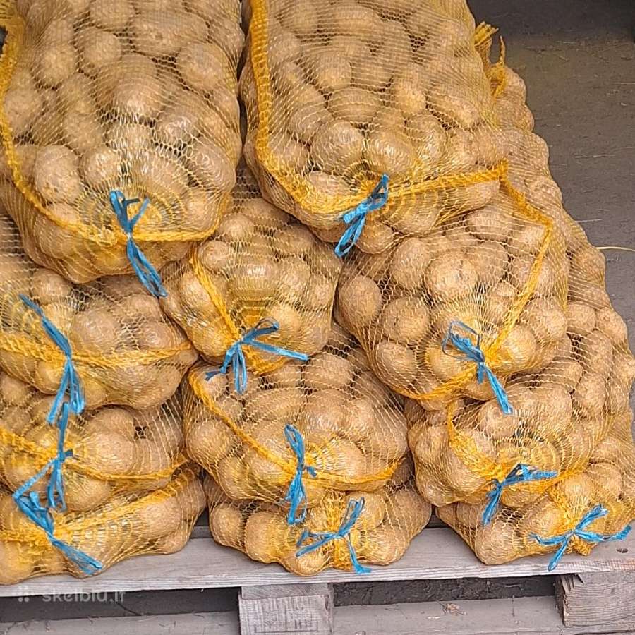 Bulves įvairios ir kvieciai pristatau nemokamai - nuotraukos Nr. 2