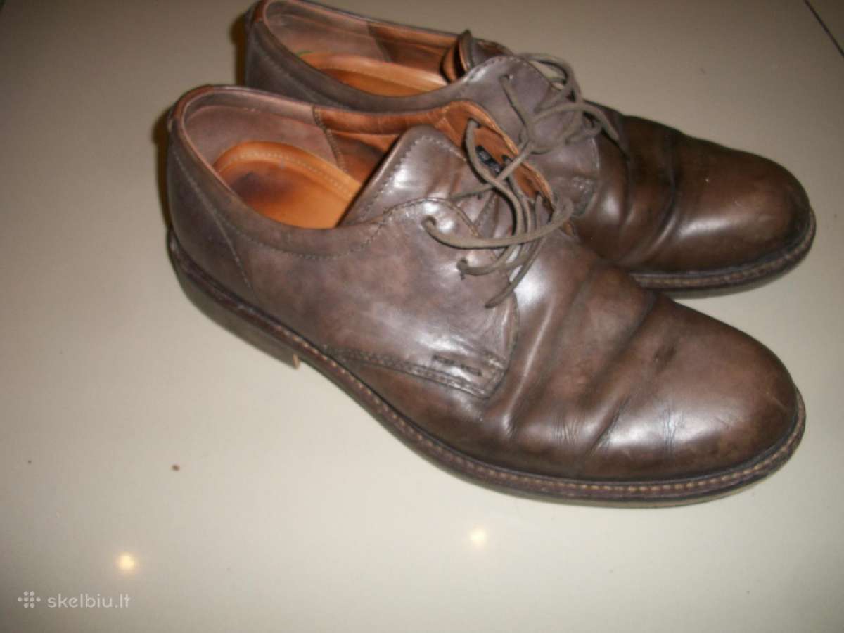 Ecco 44