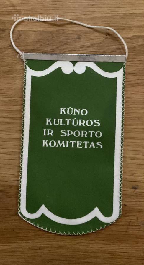 Gairelė_alytus_kūno kultūros ir sporto komitetas - nuotraukos Nr. 2