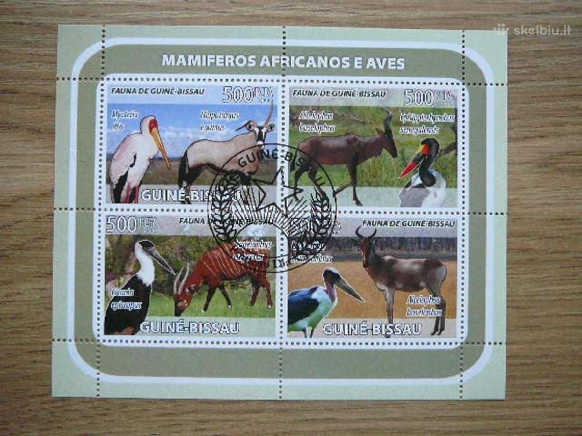 Pauksciai Antilopes Bisau Gv. 2008 antsp. gb567