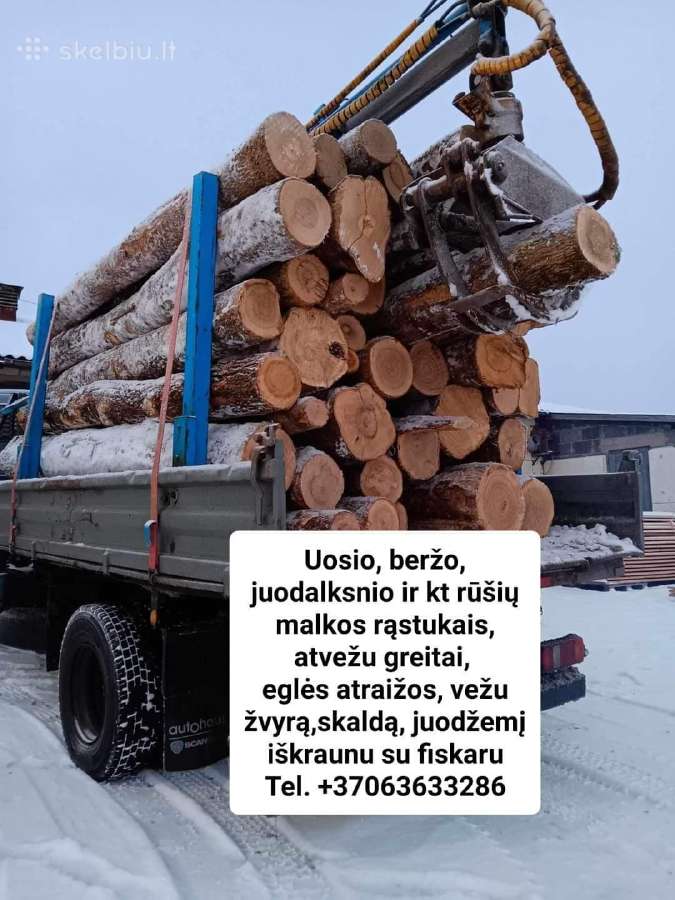Malkos vežu į Vilnių, Alytų, Kauną, Prienus, Drusk - nuotraukos Nr. 17