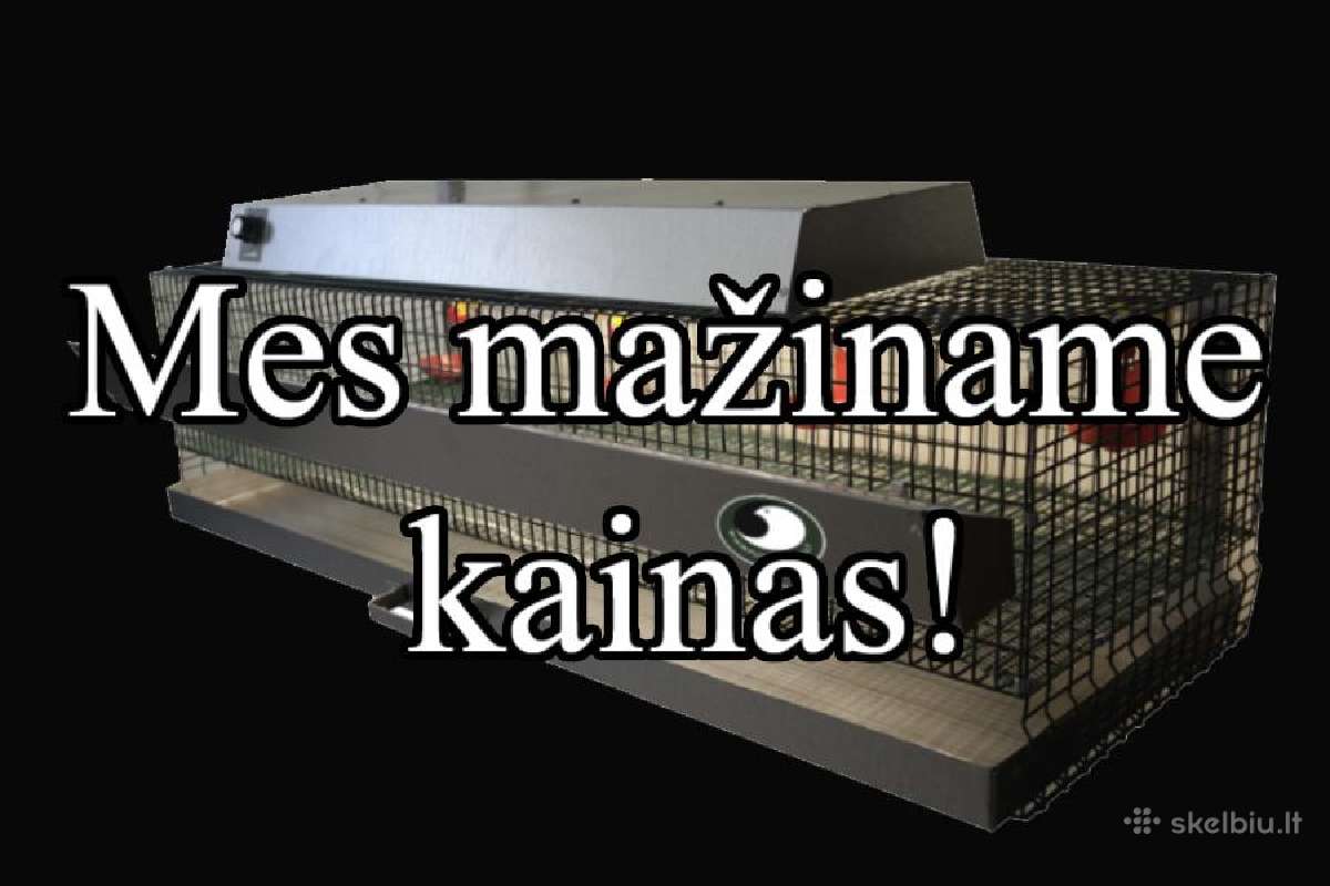 Putpelių narvai. Augintuvės.