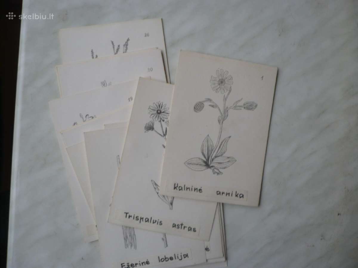 Knygos po 3.20e - nuotraukos Nr. 8