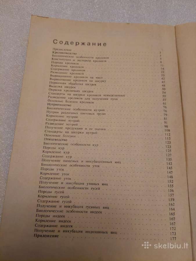 Кролики,нутрии и птица - nuotraukos Nr. 6