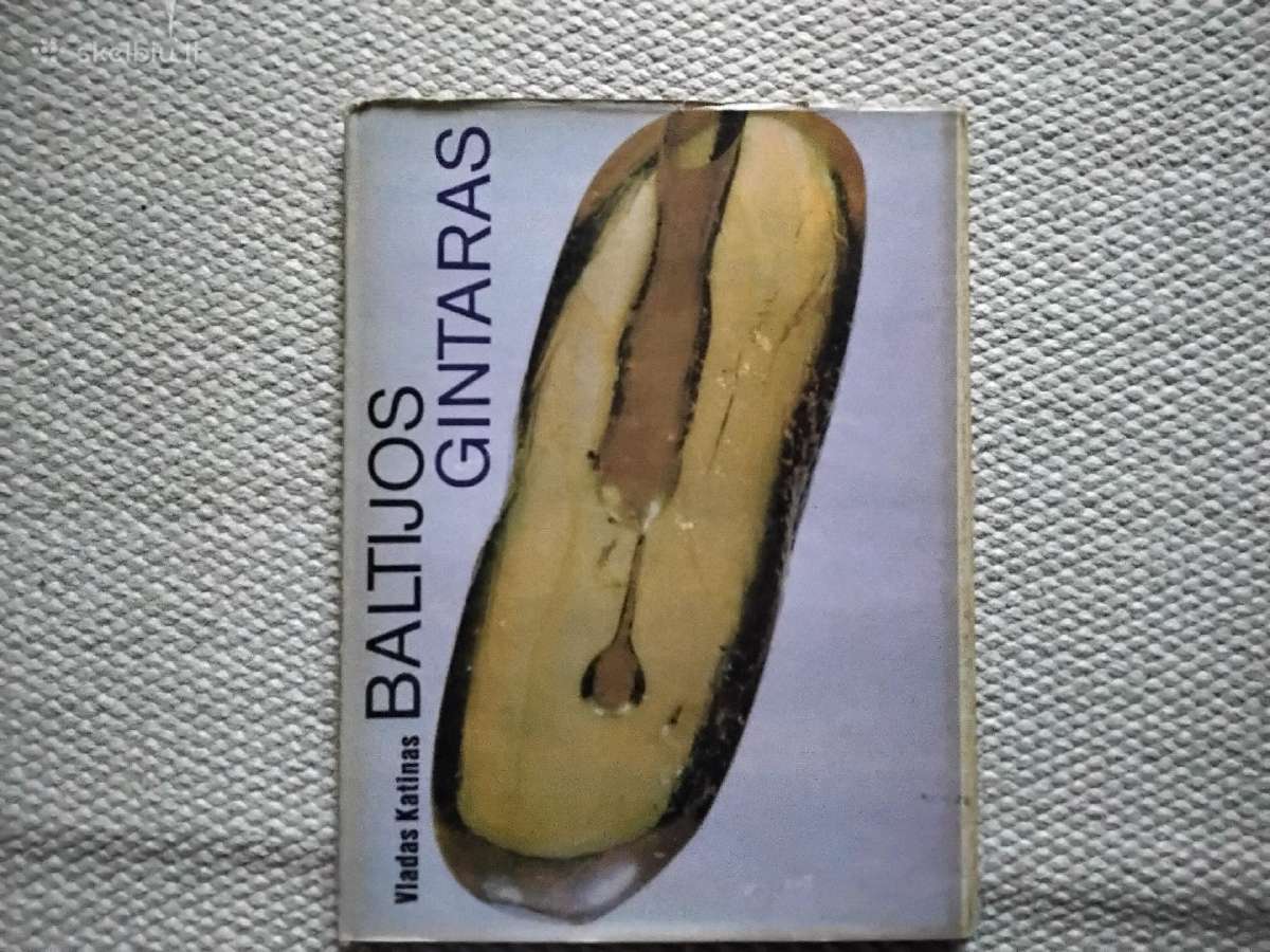 Baltijos gintaras Vladas Katinas