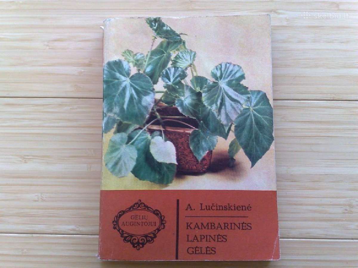 A.lučinskienė "Kambarinės lapinės gėlės"